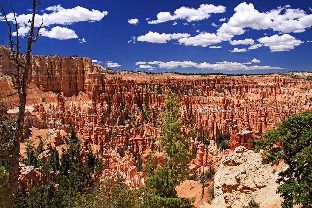 059 bryce canyon, peek a boo trail.JPG